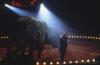 Cirque Darix Togni 05